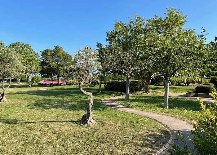 Confort Vue * Antibes